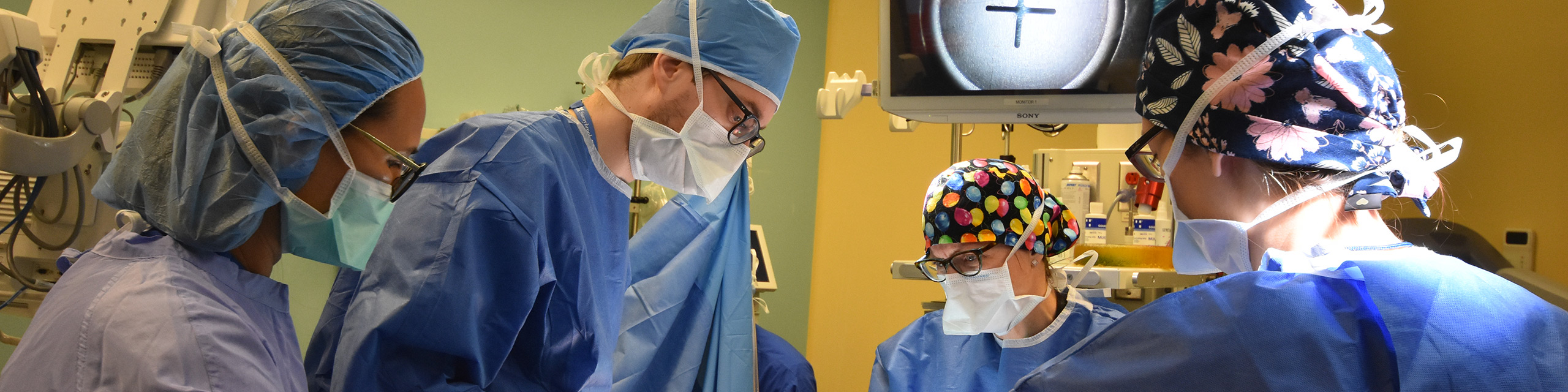 Comprehensive Vulvar Cancer Program Gynecologist Group